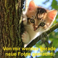 Fransen Navy-blau/weiss